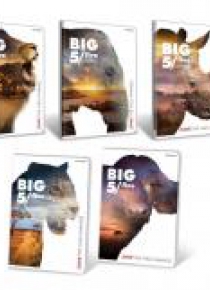Brulion A5/96K kratka Big 5 (5szt)