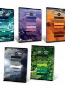 Zeszyt A4/80K kartka Tints (5szt)