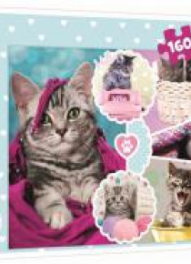 Puzzle 160 Urocze kotki TREFL
