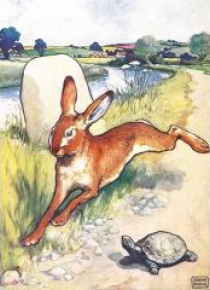Karnet B6 z kopertą The Hare and the Tortoise
