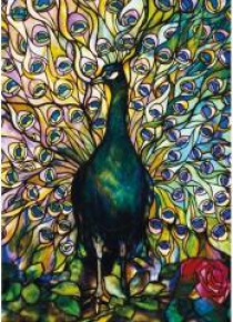 Karnet B6 z kopertą Peacock