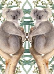 Karnet kwadrat z kopertą Koala