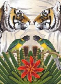 Karnet kwadrat z kopertą Bengal Tiger