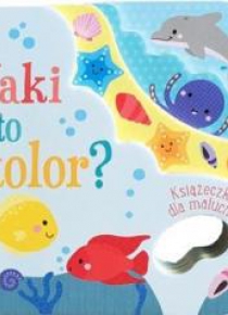 Książeczka dla malucha. Jaki to kolor?