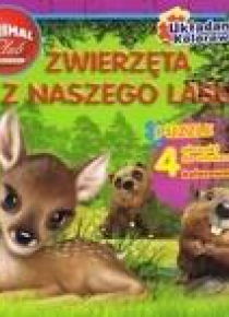 Animal Club. Układanka, kolorwanka. Zwierzęta..