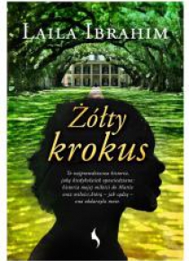 Żółty krokus