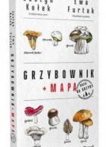 Grzybownik + mapa