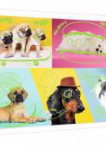 Puzzle 1000 Neon Color Line Odlotowe Psy TREFL
