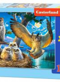 Puzzle 180 Owl Family CASTOR