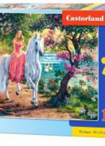 Puzzle 100 Secret Trail CASTOR
