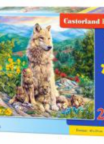 Puzzle 200 New Generation CASTOR