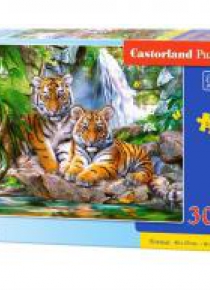 Puzzle 300 Tiger Fails CASTOR