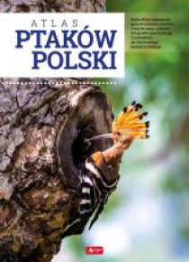 Atlas ptaków Polski TW