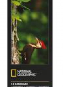 Zakładka 3D National Geographic Dzięcioł