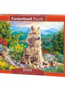 Puzzle 1000 New Generation CASTOR