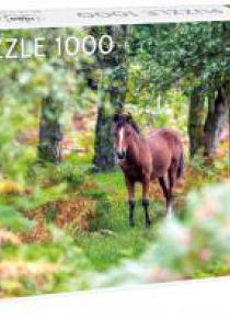 Puzzle 1000 Wild Horses, New Forest