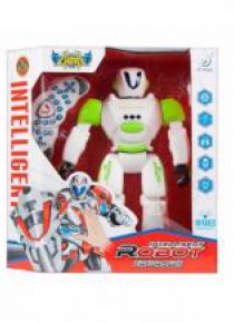 Robot R/C