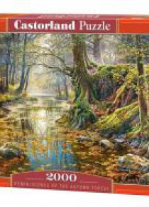 Puzzle 2000 Wspomnienie z jesiennego lasu CASTOR