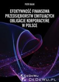 Efektywność finansowa przedsiębiorstw...