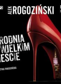 Zbrodnia w wielkim mieście audiobook