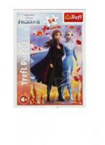 Puzzle 54 mini W świecie Anny i Elsy 2 TREFL