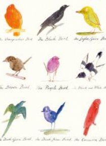 Karnet 17x14cm z kopertą Drawings of comic birds