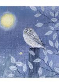 Karnet kwadrat z kopertą Little Owl
