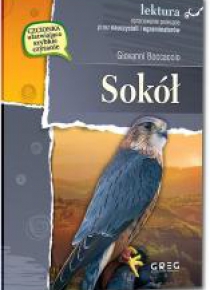 Sokół GREG