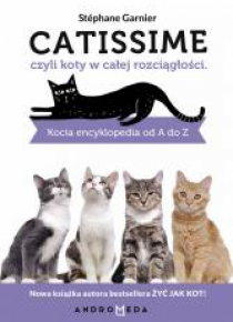 Catissime, czyli koty w całej rozciągłości