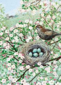 Karnet kwadrat z kopertą Blossom and Blackbird
