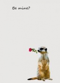 Notes Gee Be Mine line NARCISSUS