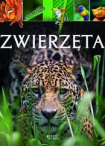Zwierzęta