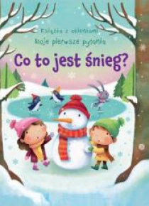 Co to jest śnieg? Książka z okienkami