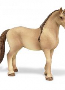 Klacz rasy Lusitano