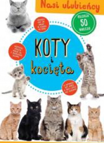 Kolekcja 50 naklejek. Koty i kocięta