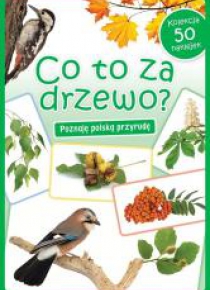 Kolekcja 50 naklejek. Co to za drzewo?