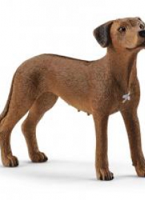 Rhodesian Ridgeback
