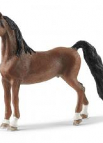Wałach rasy Saddlebred