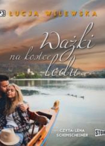 Ważki na kostce lodu audiobook