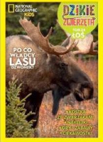 Dzikie zwierzęta T.24 Łoś