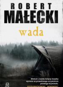 Wada pocket