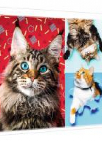 Puzzle 1000 Wesołe koty TREFL