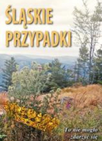 Śląskie przypadki