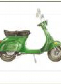 Karnet 12x18 G06 42A 184 + kop Skuter Vespa ziel.