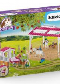 Horse Club Szkoła jeździecka z koniem + akcesoria