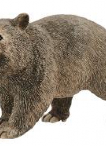 Wombat