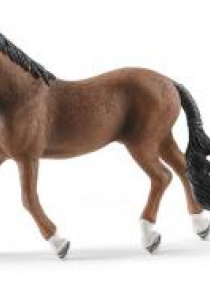 Wałach Trakehner