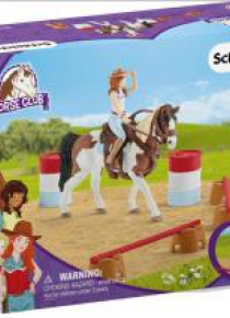 Horse Club Hanna's Werstern riding
