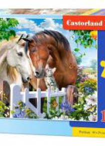 Puzzle 100 Best Friends CASTOR