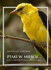 Ptaki w mieście, czyli birdwatching po polsku